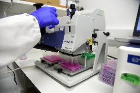 Pasteur Institute - Paris