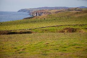 Illustration Scotland Landscape