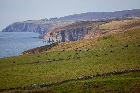 Illustration Scotland Landscape