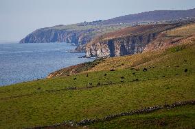 Illustration Scotland Landscape