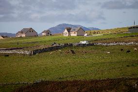 Illustration Scotland Landscape