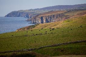 Illustration Scotland Landscape