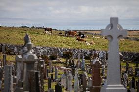 Illustration Scotland Landscape