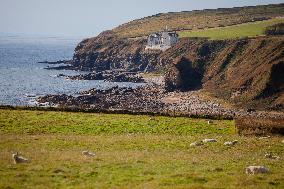 Illustration Scotland Landscape