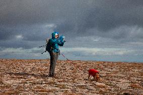 Illustration Scotland Cairngorm Mountain