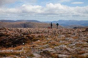Illustration Scotland Cairngorm Mountain