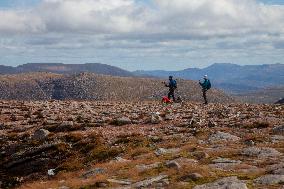 Illustration Scotland Cairngorm Mountain