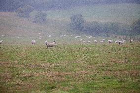 Illustration Scotland Clava Cairns