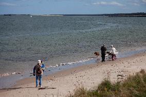 Illustration Scotland Nairn