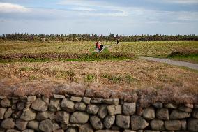 Illustration Scotland Culloden Memorial