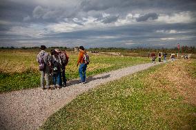 Illustration Scotland Culloden Memorial
