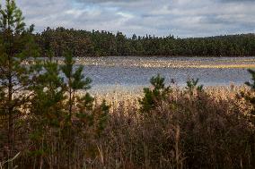 Illustration Scotland Mountain Landscapes