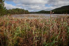Illustration Scotland Mountain Landscapes