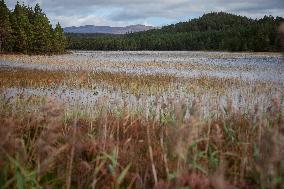 Illustration Scotland Mountain Landscapes