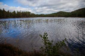 Illustration Scotland Mountain Landscapes
