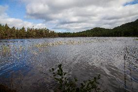 Illustration Scotland Mountain Landscapes