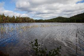 Illustration Scotland Mountain Landscapes