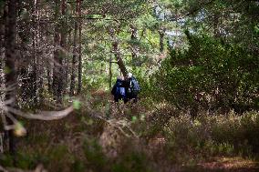 Illustration Scotland Mountain Landscapes