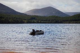 Illustration Scotland Mountain Landscapes