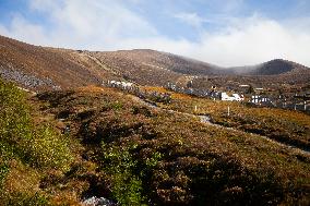 Illustration Scotland Mountain Landscapes