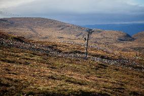 Illustration Scotland Mountain Landscapes