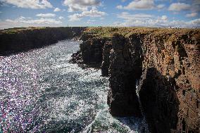 Illustration Scotland Wick