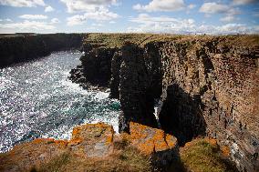 Illustration Scotland Wick