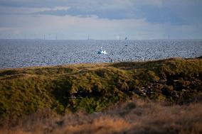 Illustration Scotland Wick