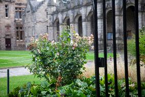 Illustration the City of Saint Andrews