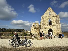 Illustration - Ile de Ré