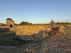 Illustration - Ile de Ré