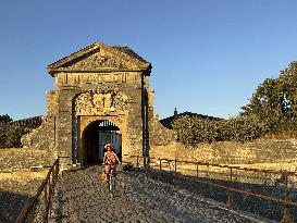 Illustration - Ile de Ré