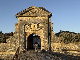 Illustration - Ile de Ré