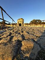 Illustration - Ile de Ré