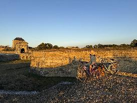 Illustration - Ile de Ré