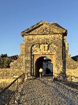 Illustration - Ile de Ré