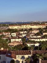 Illustration - Ile de Ré