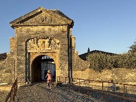 Illustration - Ile de Ré