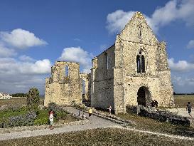 Illustration - Ile de Ré