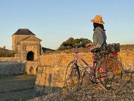 Illustration - Ile de Ré