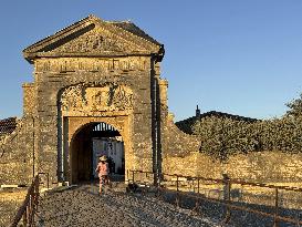 Illustration - Ile de Ré