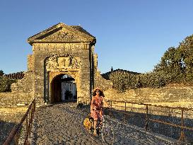 Illustration - Ile de Ré