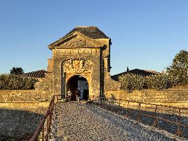 Illustration - Ile de Ré