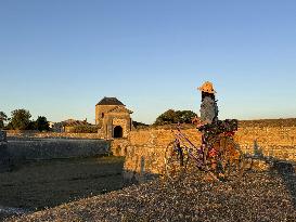 Illustration - Ile de Ré