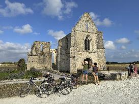 Illustration - Ile de Ré