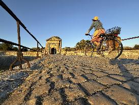 Illustration - Ile de Ré