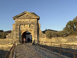 Illustration - Ile de Ré