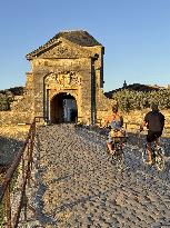 Illustration - Ile de Ré