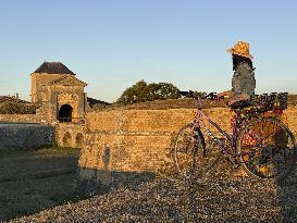 Illustration - Ile de Ré