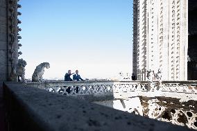 Macron Inaugurates the Towers of Notre-Dame Cathedral - Paris